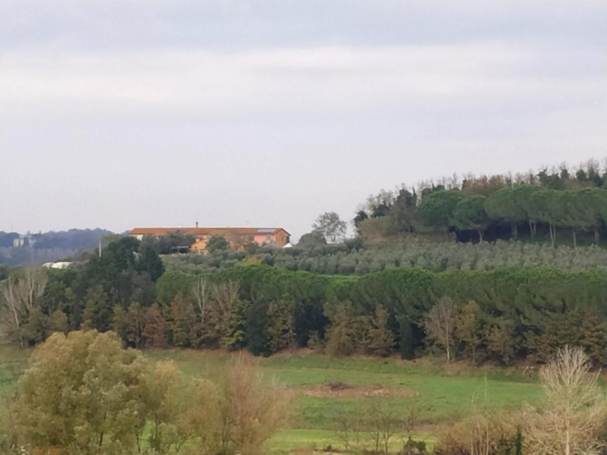 Agriturismo L'Isola Crespina Exterior foto